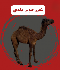 نص حوار ( بلدي )